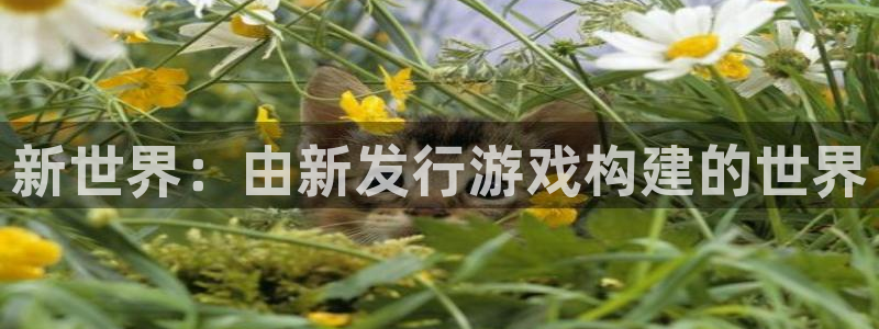 db电竞官网平台合法吗：新世界：由新发行游戏构建的世界