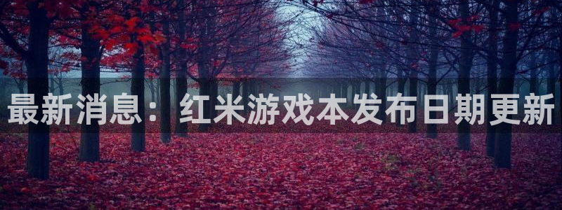 lvncesdb电竞衣服