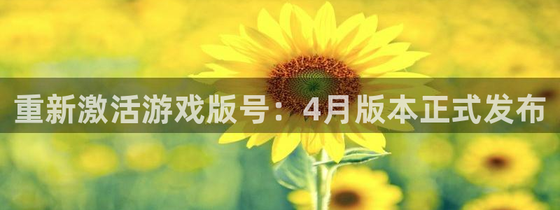 江苏db电竞智得