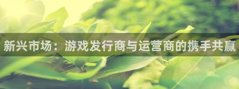 db电竞是哪个国家的衣服品牌：新兴市场：游戏发行商与运营商的携手共赢