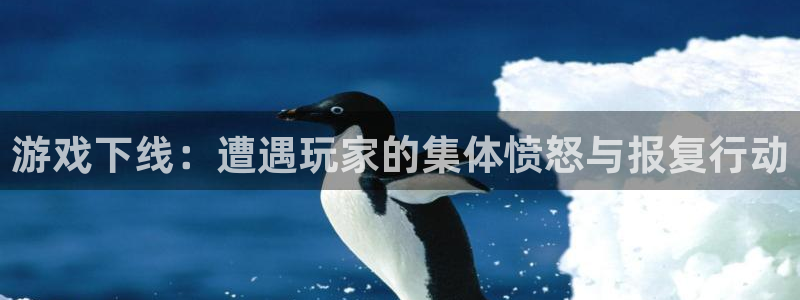 db电竞技术有限公司怎么样：游戏下线：遭遇玩家的集体愤怒与报复行动