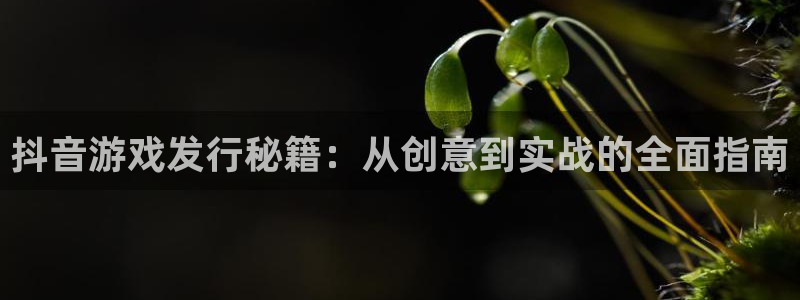 db电竞子签约作家：抖音游戏发行秘籍：从创意到实战的全面指南