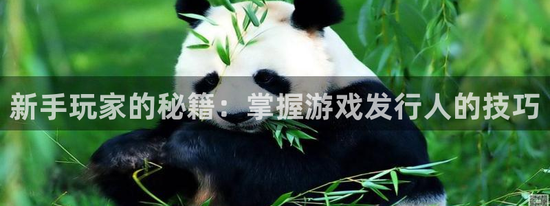db电竞子酒业：新手玩家的秘籍：掌握游戏发行人的技巧