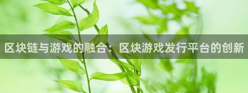 db电竞技术有限公司：区块链与游戏的融合：区块游戏发行平台的创新