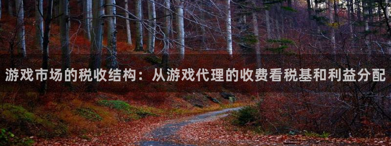 db电竞技术有限公司官网