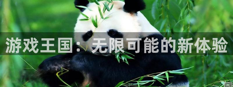 db电竞官网注册方法视频：游戏王国：无限可能的新体验