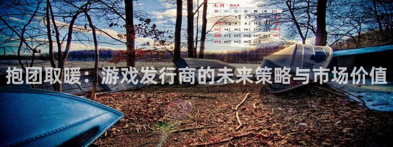 db电竞官网是什么娱乐?：抱团取暖：游戏发行商的未来策略与市场价值