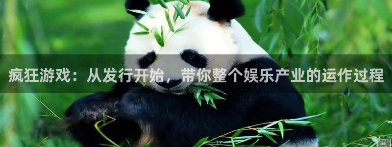 四川db电竞科技有限公司怎么样：疯狂游戏：从发行开始，带你整个娱乐产业的运作过程