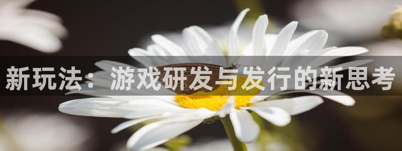 db电竞电子商务有限公司地址：新玩法：游戏研发与发行的新思考