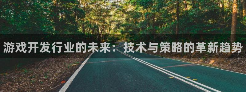 db电竞主管：游戏开发行业的未来：技术与策略的革新趋势