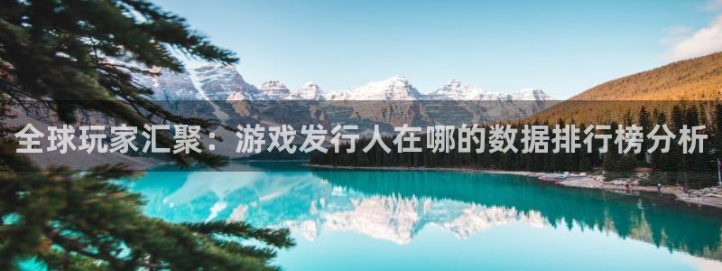 db电竞子市值：全球玩家汇聚：游戏发行人在哪的数据排行榜分析