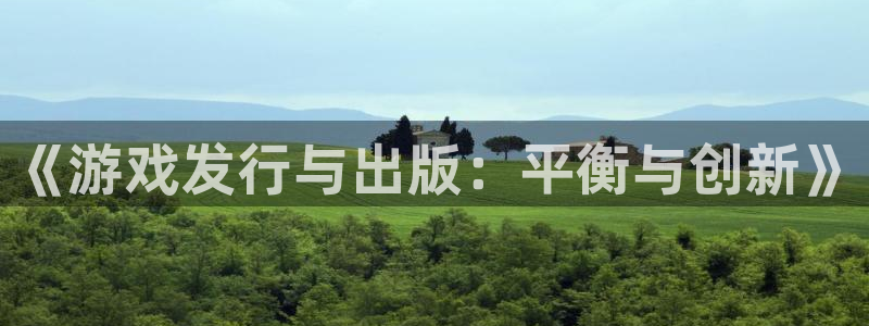 db电竞球队：《游戏发行与出版：平衡与创新》