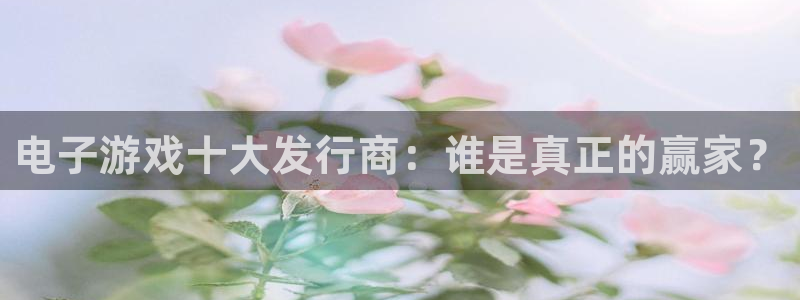 db电竞子的所有小说：电子游戏十大发行商：谁是真正的赢家？