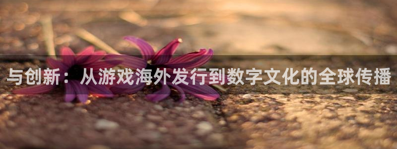 db电竞官网登录注册账号安全吗是真的吗：与创新：从游戏海外发行到数字文化的全球传播