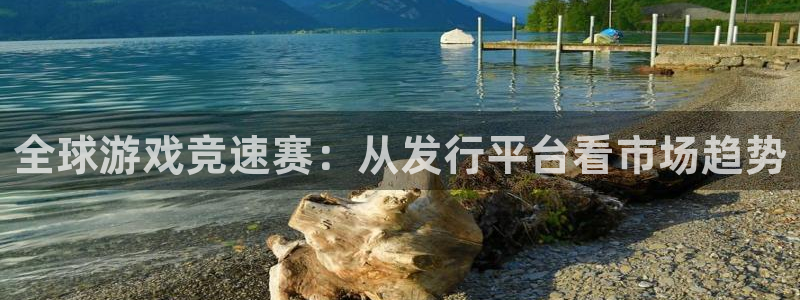 db电竞子文化是什么：全球游戏竞速赛：从发行平台看市场趋势