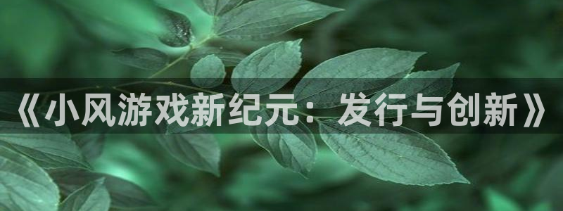 db电竞官网登录注册账号安全吗安全吗：《小风游戏新纪元：发行与创新》