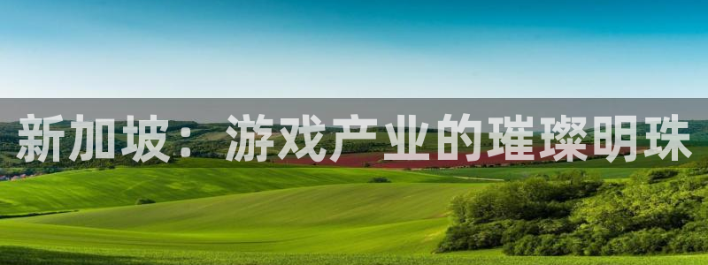 db电竞运动装有哪些品牌